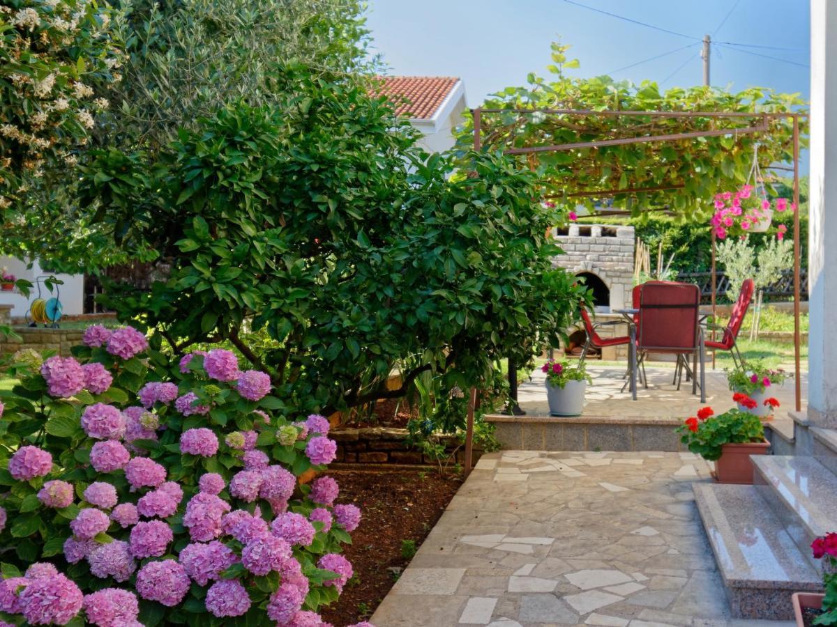 Apartments Marta By Rent Istria Novigrad Istria Buitenkant foto